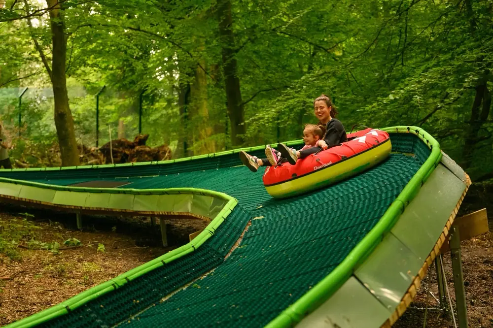 A mother and child in a red tube banking through a turn on a forest tubing slide