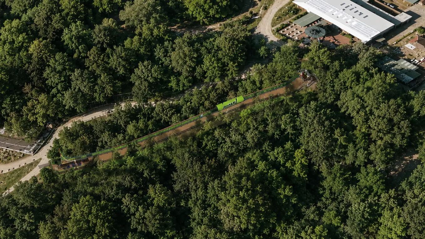 Aerial concept render of a tubing slide masterplan through a forest (ROARR!)